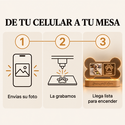 Lámpara Memorial de Tu Perro