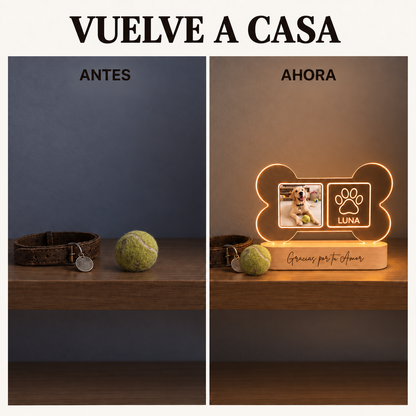 Lámpara Memorial de Tu Perro